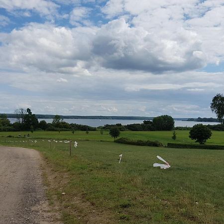 Ferienhaus Plau Am See Direkt Am Strand Villa ภายนอก รูปภาพ